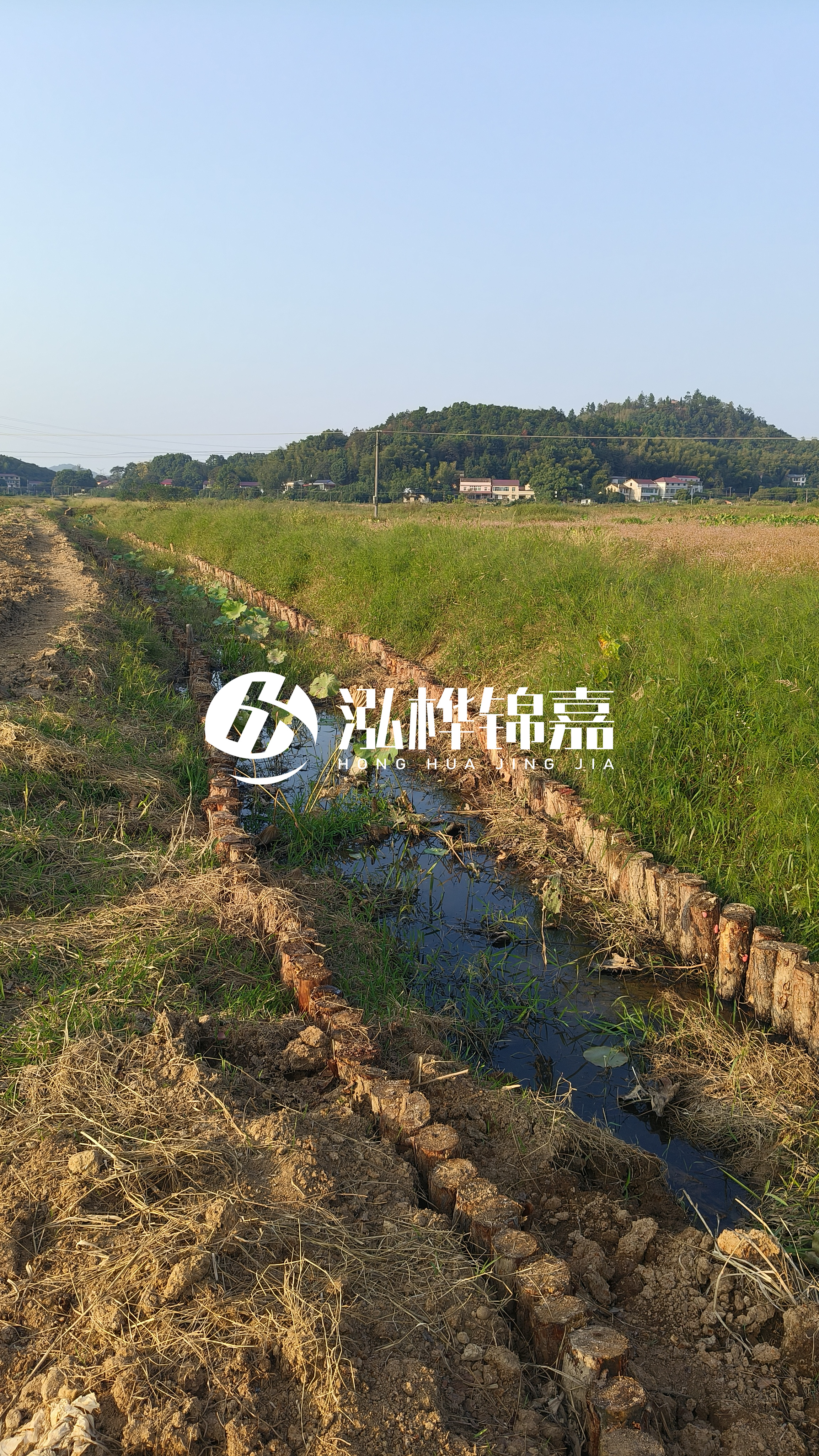 河道護(hù)坡打木樁的目的全解析：你知道幾個(gè)？