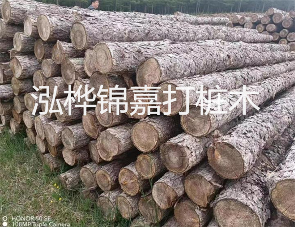 高效修補(bǔ)，保駕護(hù)航！水泥路面高強(qiáng)度修補(bǔ)料為您解決煩惱！