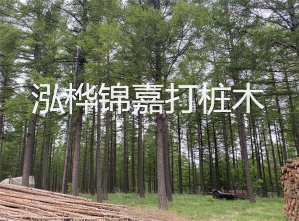 解密基坑軟弱層處理，建筑穩(wěn)固之道！