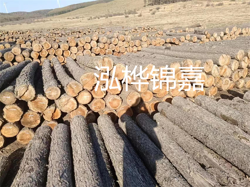 選擇合適的路緣石尺寸，打造美麗道路